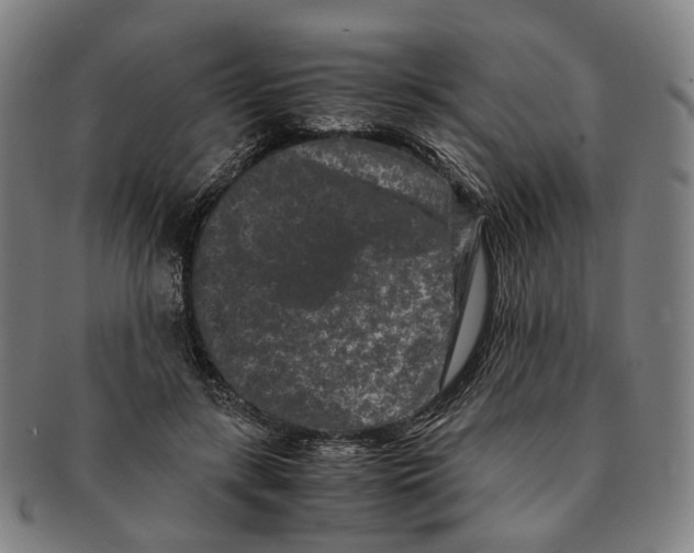 X0000090990547200708301314