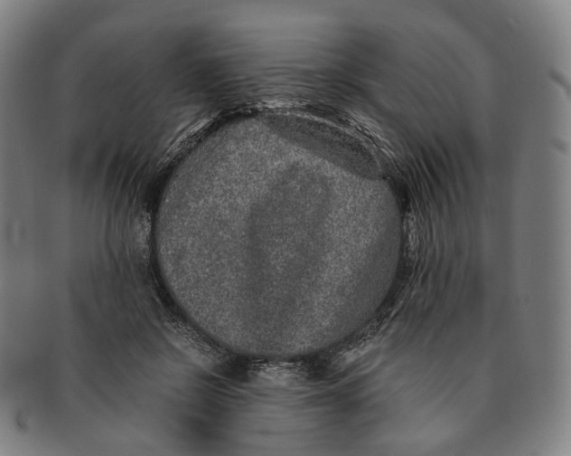 X0000090990550200708301314