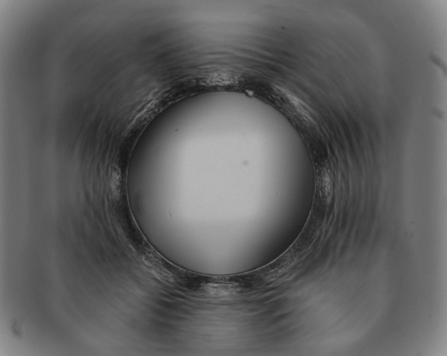 X0000090990556200708301314