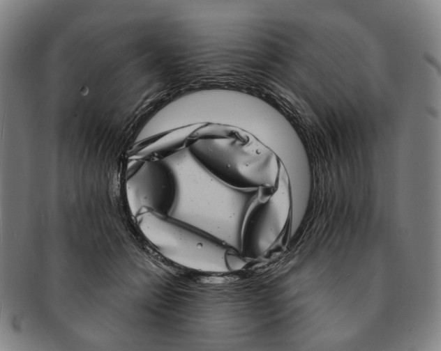 X0000090990558200708301315