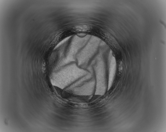 X0000090990559200708301315