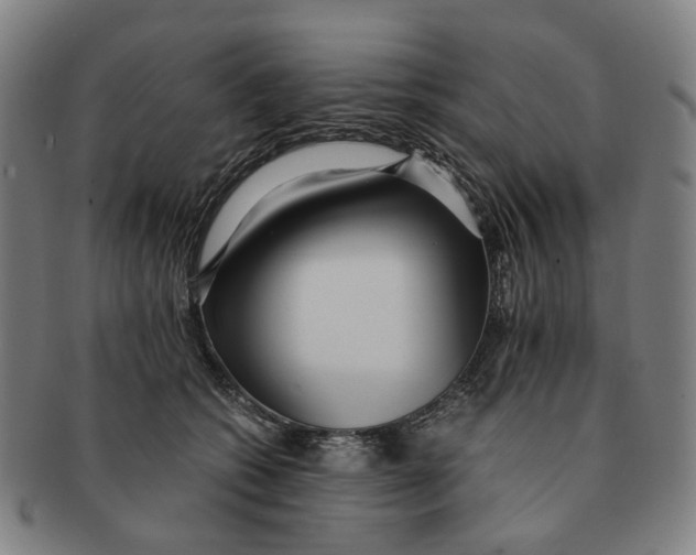 X0000090990562200708301315