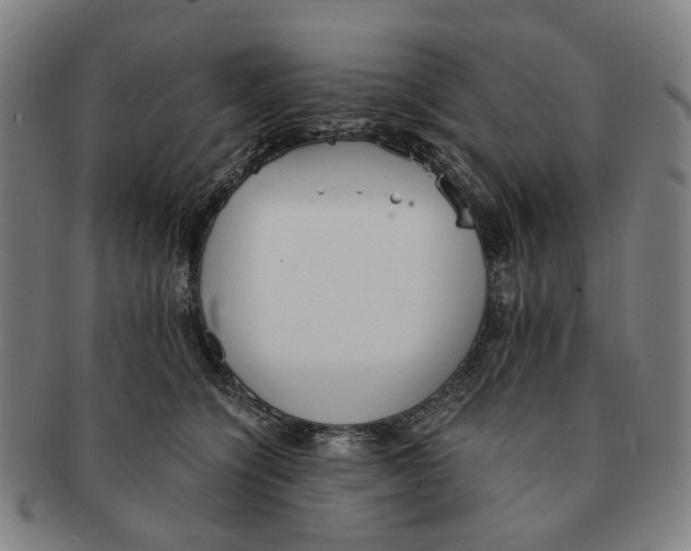 X0000090990564200708301315