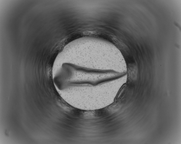 X0000090990574200708301315