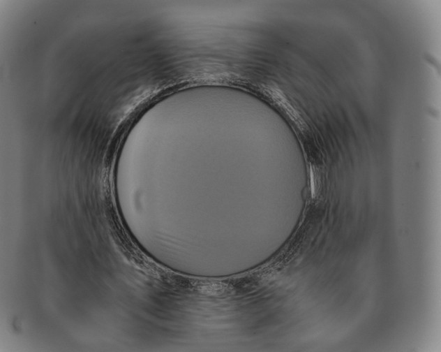 X0000090990579200708301314