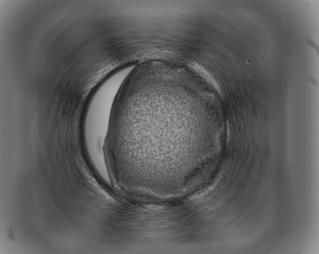 X0000090990581200708301314