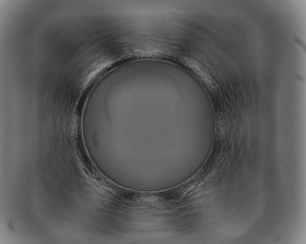 X0000090990583200708301314