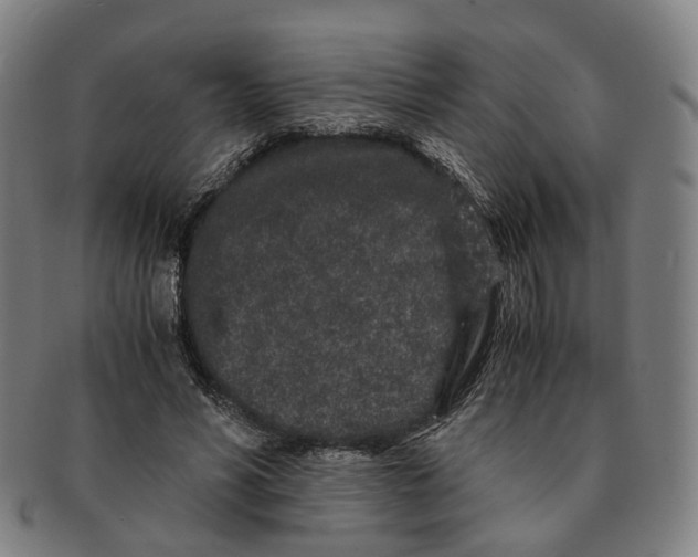 X0000090990590200708301314