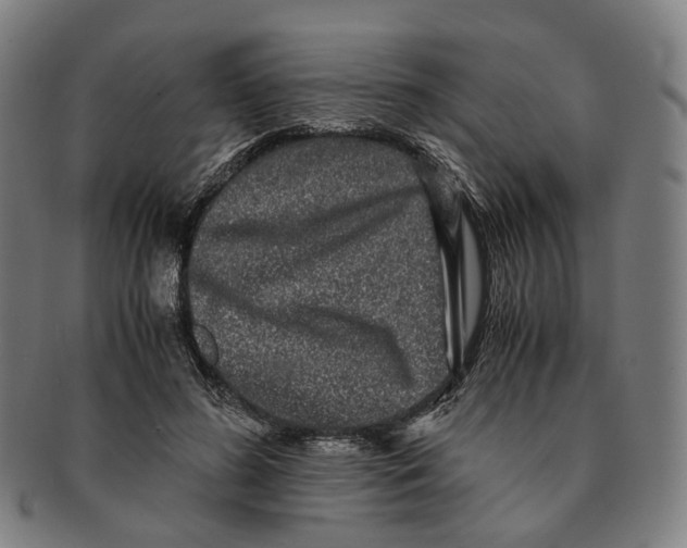 X0000090990596200708301314