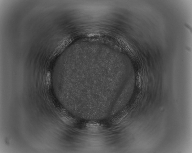 X0000090990598200708301314