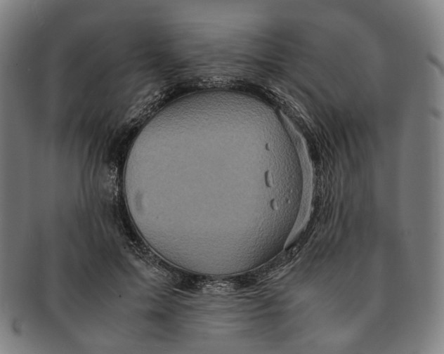 X0000090990599200708301314