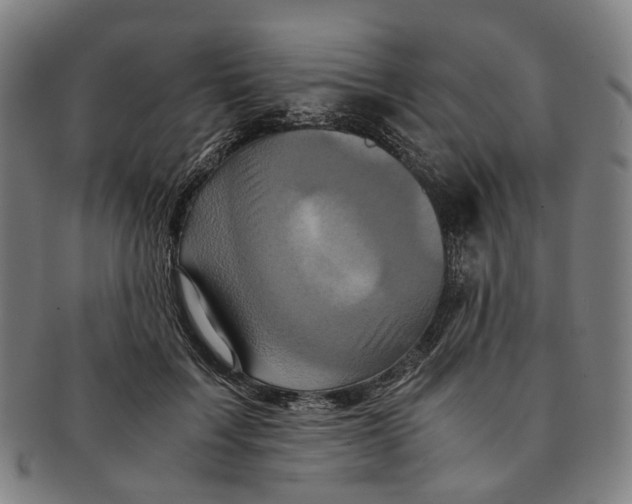 X0000090990603200708301314