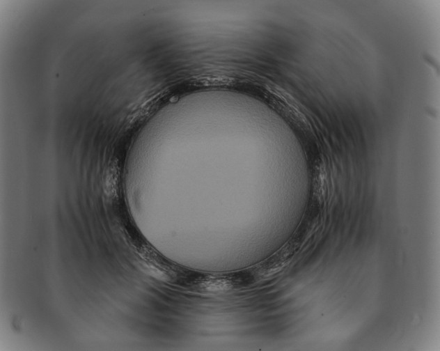 X0000090990604200708301314