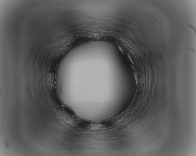 X0000090990605200708301314