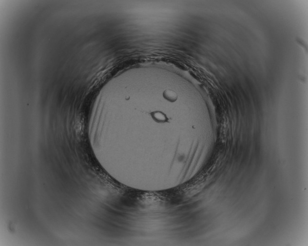 X0000090990608200708301314