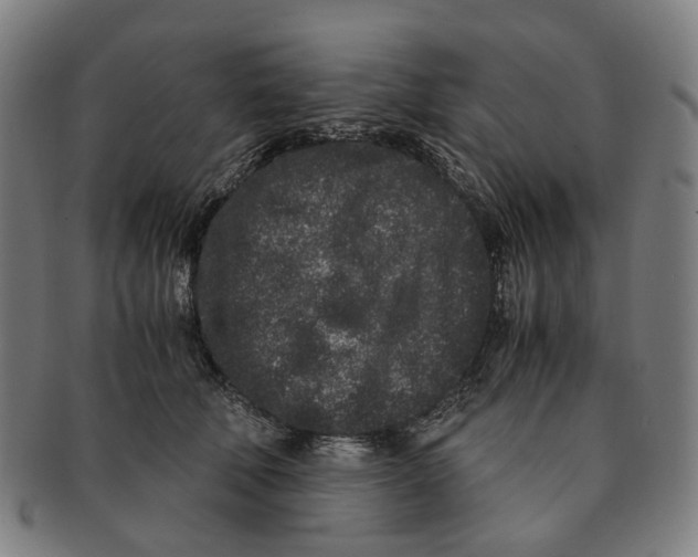 X0000090990610200708301313