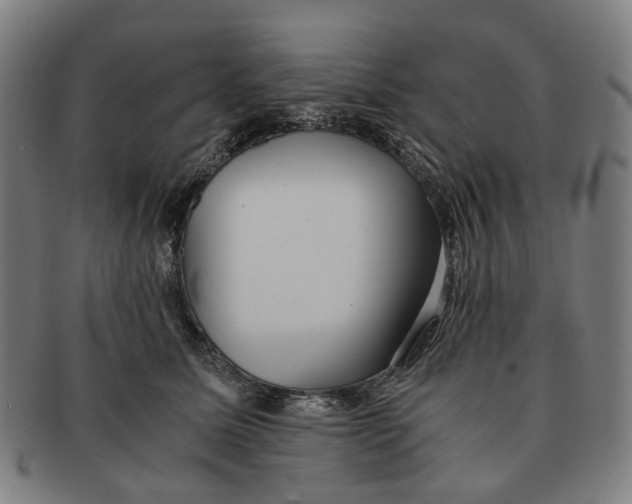 X0000090990611200708301313