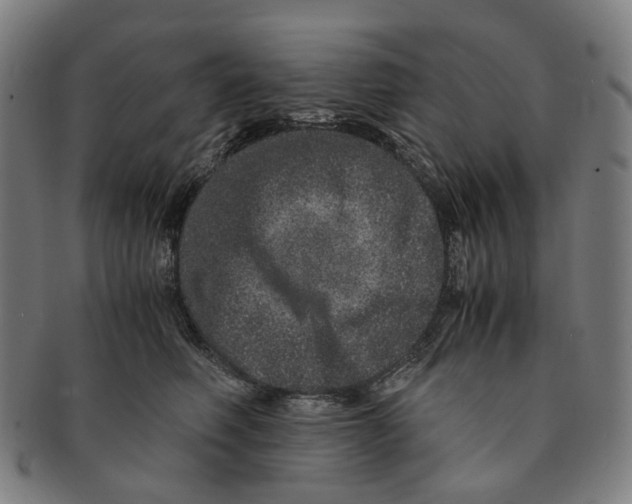 X0000090990614200708301313