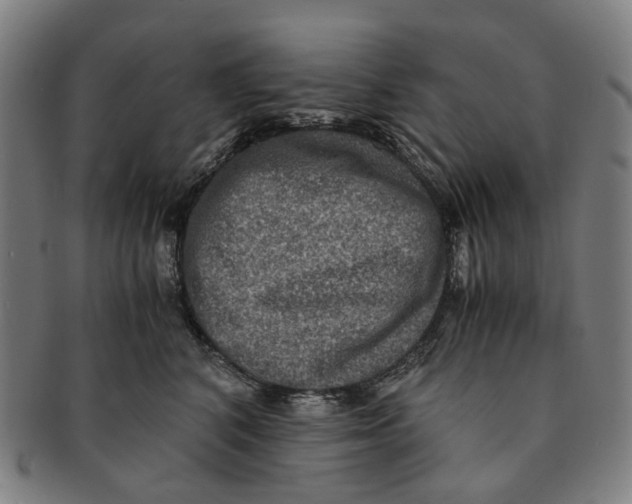 X0000090990616200708301313