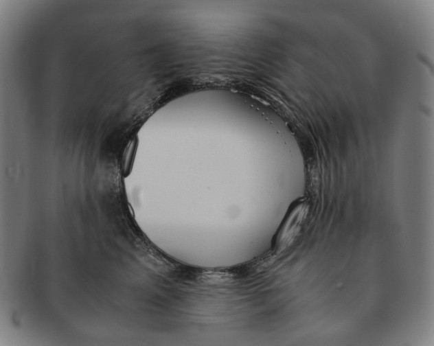 X0000090990617200708301313