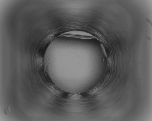 X0000090990621200708301313