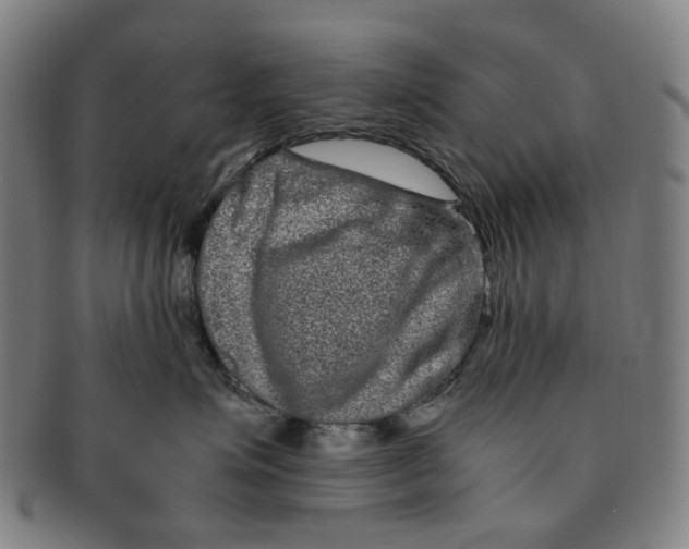 X0000090990623200708301313