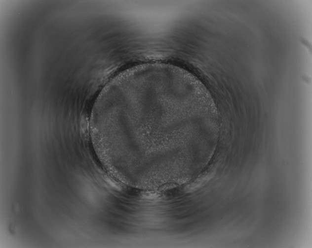 X0000090990624200708301313