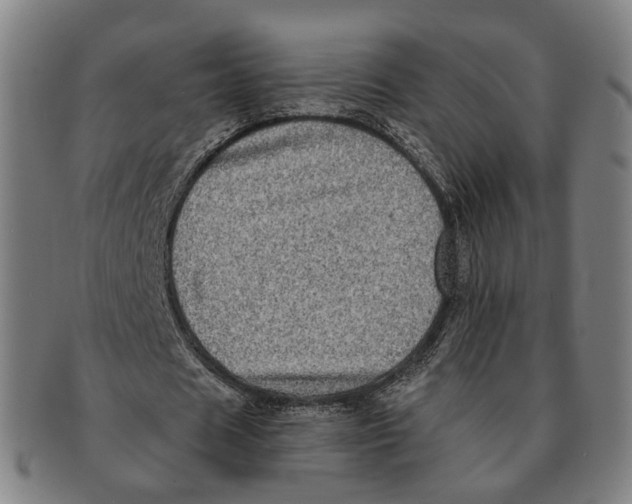 X0000090990625200708301313