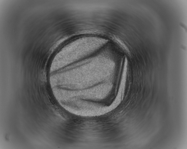 X0000090990628200708301313