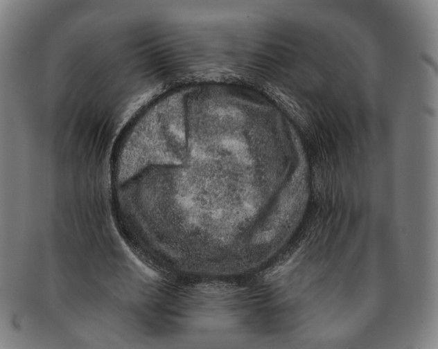 X0000090990630200708301313