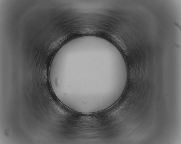 X0000090990633200708301313