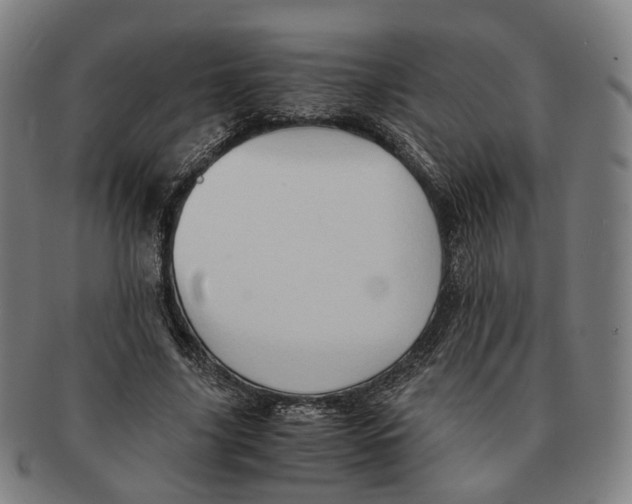 X0000090990635200708301313