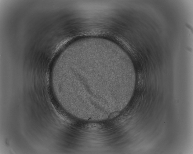 X0000090990636200708301313