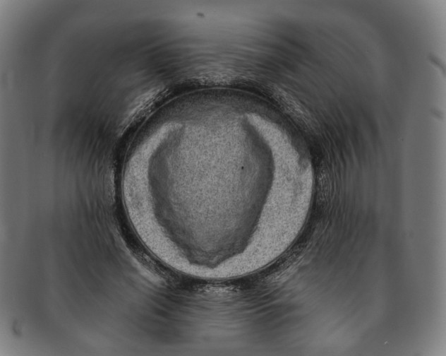 X0000090990638200708301313