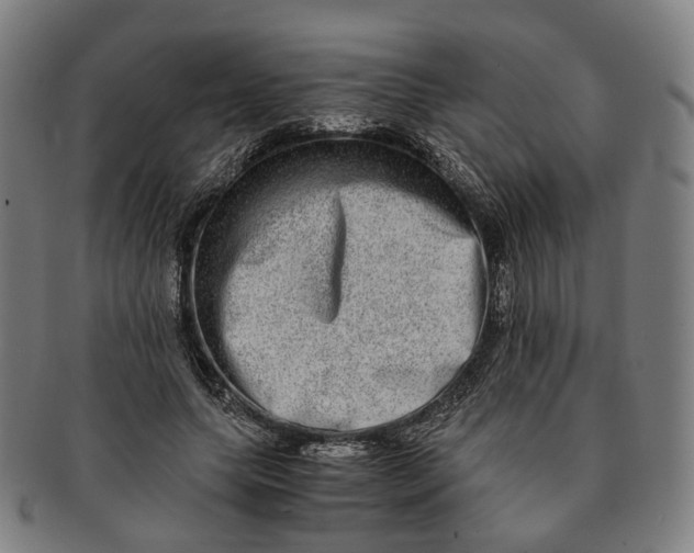 X0000090990639200708301313