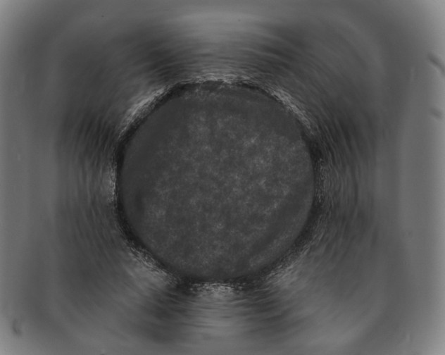 X0000090990640200708301313