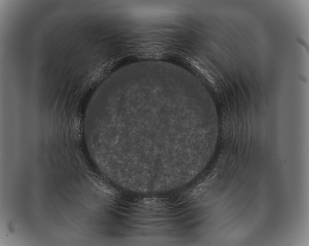 X0000090990641200708301313