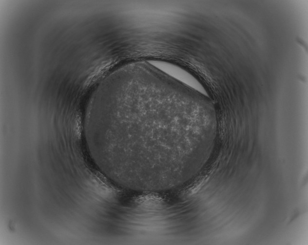 X0000090990644200708301313