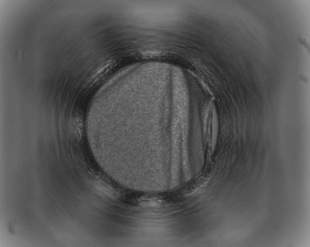 X0000090990648200708301313