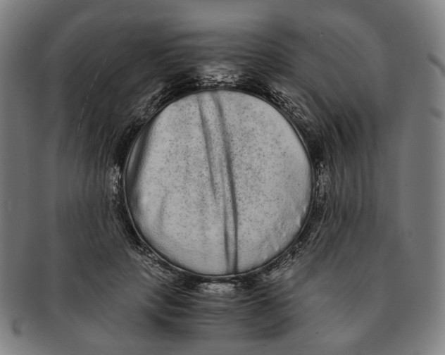 X0000090990649200708301313