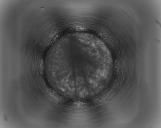 X0000090990650200708301313