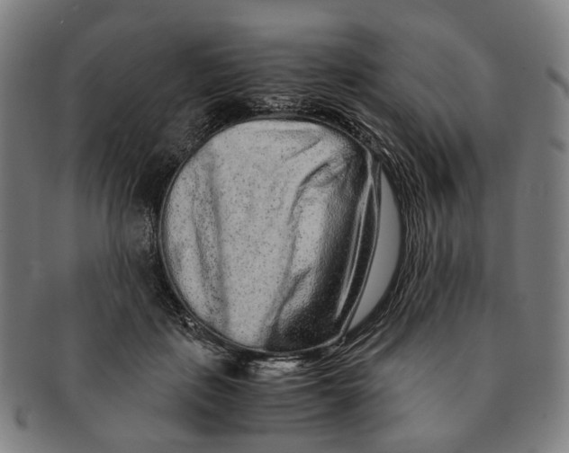 X0000090990651200708301313