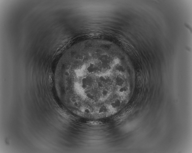 X0000090990654200708301313