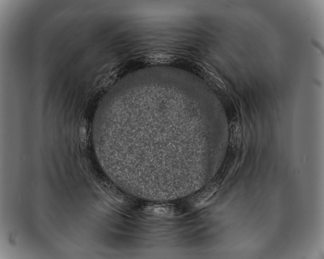 X0000090990655200708301313