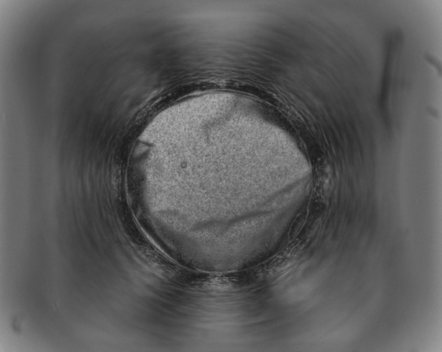 X0000090990656200708301313