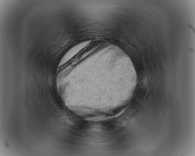 X0000090990658200708301313