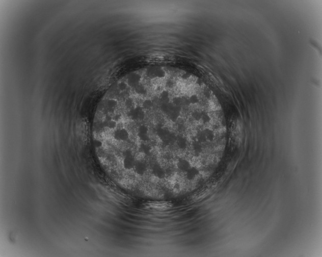 X0000090990659200708301313