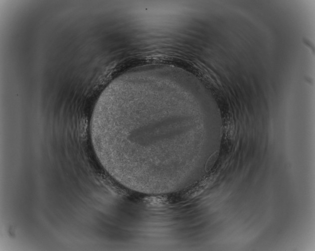 X0000090990660200708301313