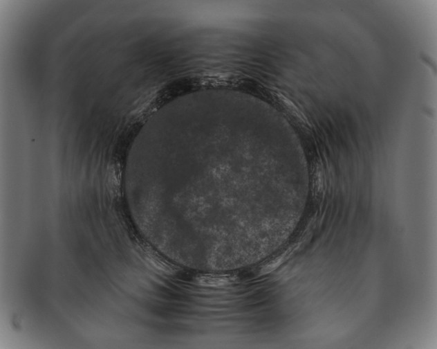 X0000090990661200708301313