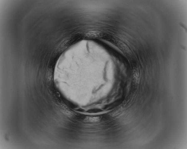 X0000090990665200708301313